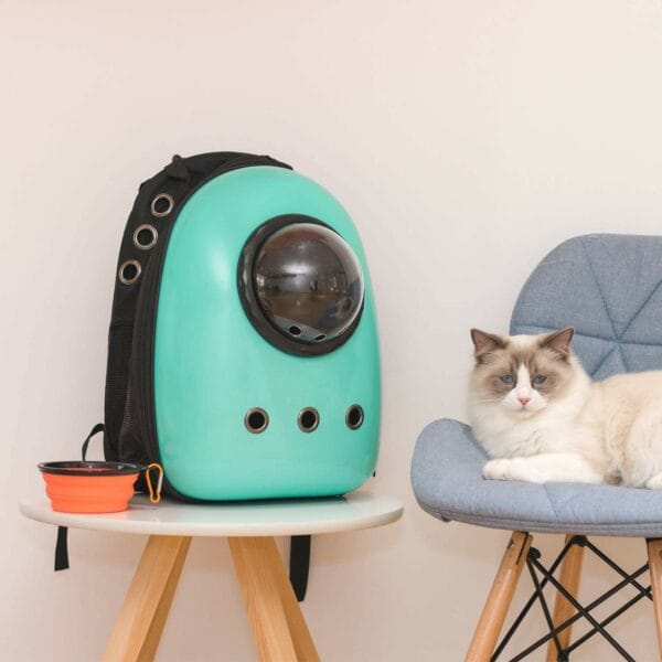 cat carrier bubble backpack