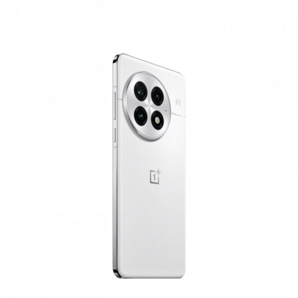 oneplus 13 12gb ram/ 256gb rom