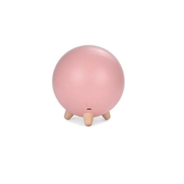 cat pet house night light for kids