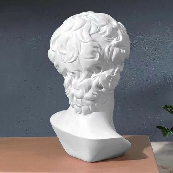 david head michelangelo statue