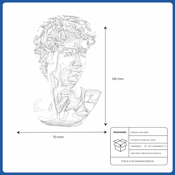 david head michelangelo statue