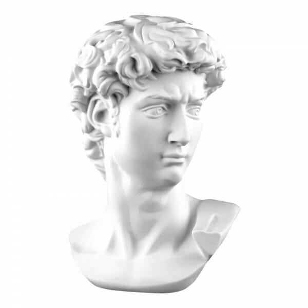david head michelangelo statue