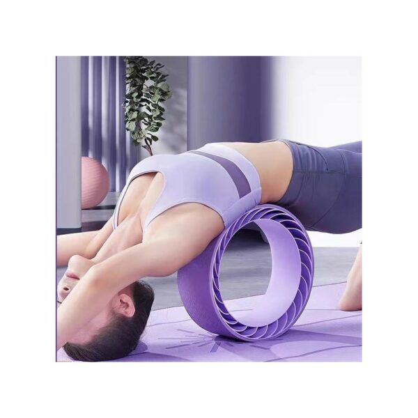 double layer yoga training wheel