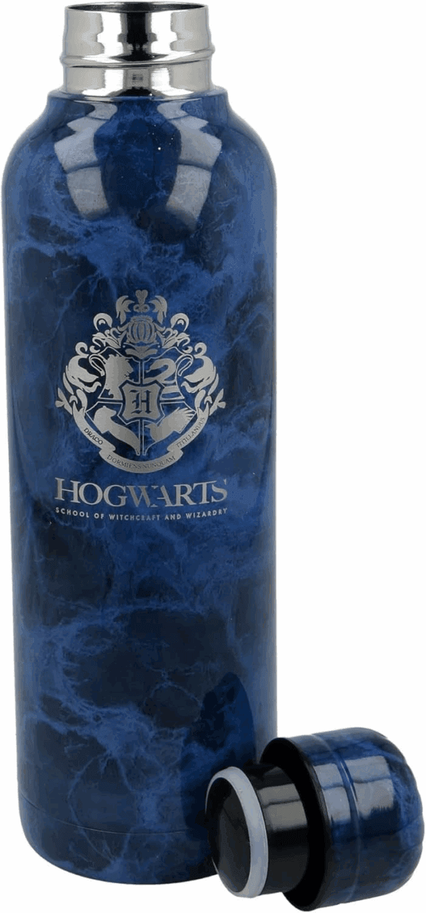 harry potter stainless steel water bottle 515ml (8412497003419)