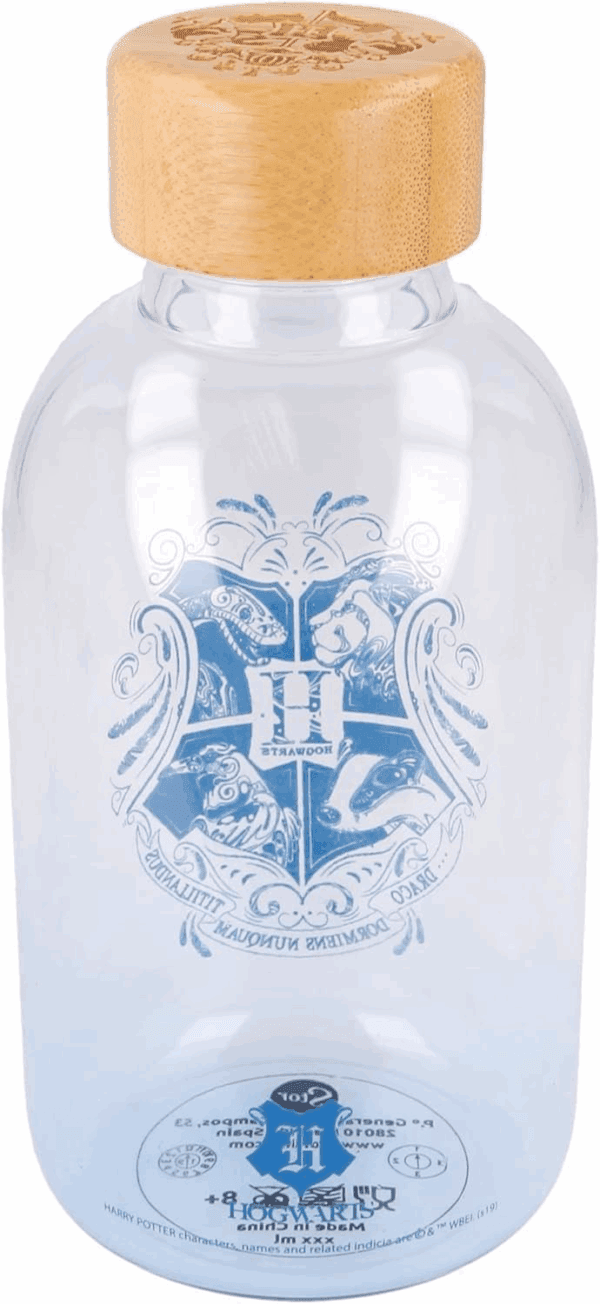 harry potter glass water bottle (8412497003440)