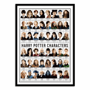 art poster harry potter characters olivier bourdereau format : 30 x 40 cm