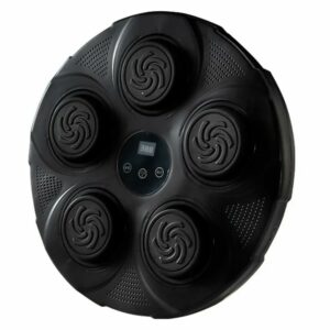 intelligent music boxing target