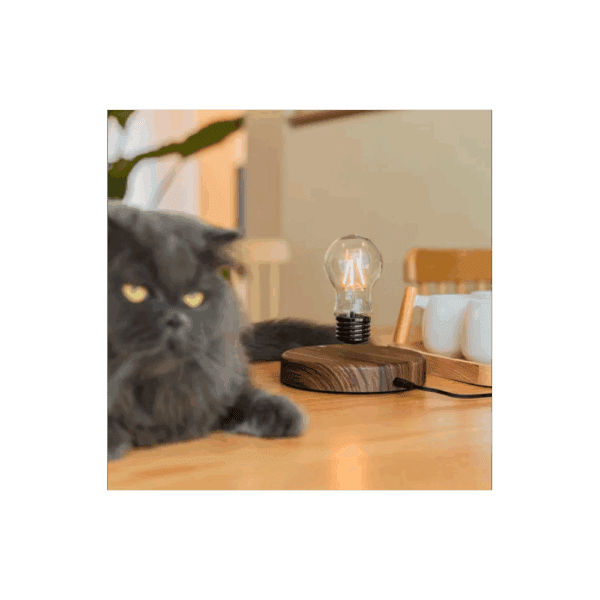 moocci levitating light bulb