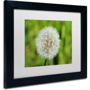 photo frame 20cm x 20cm