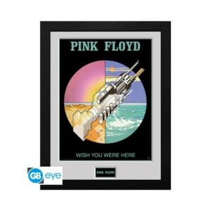 pink floyd framed print "wish you were here" (30x40) (pfc2087)
