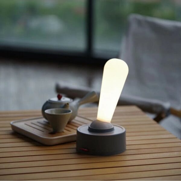 portable usb rechargeable led light