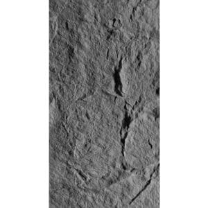 pvc skin rock (20490500801)