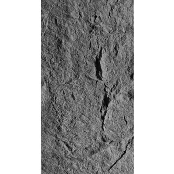 pvc skin rock (20490500801)