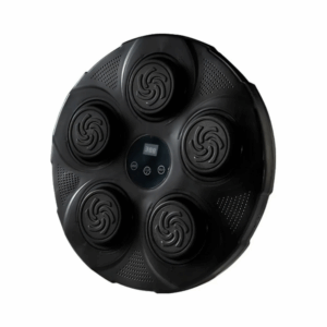 intelligent music boxing target