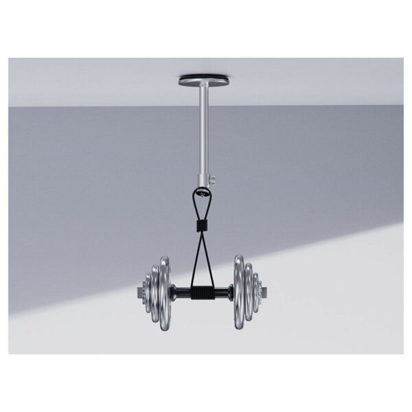 wanbo t type ceiling mount (wbca01) silver