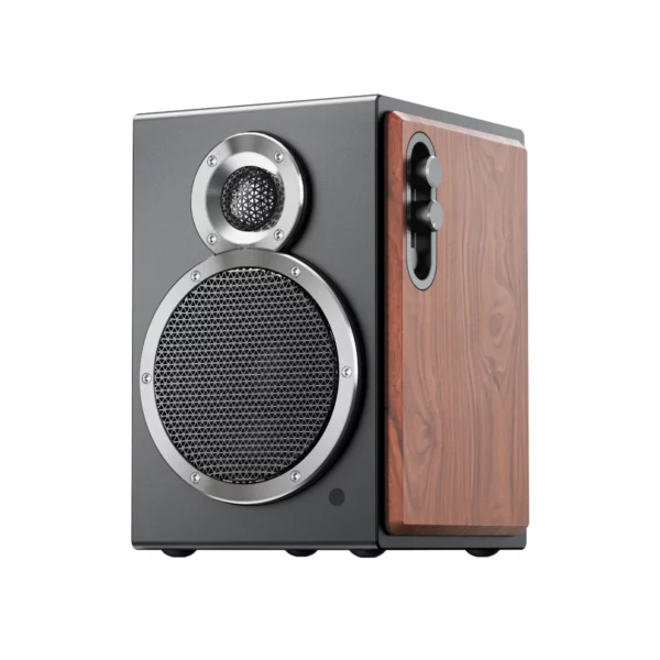 fiio sa1 high fidelity desktop speaker (black)