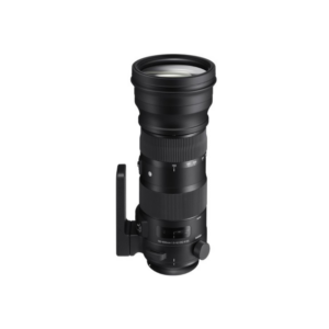 sigma 150 600mm f/5 6.3 dg os hsm sports (nikon mount)