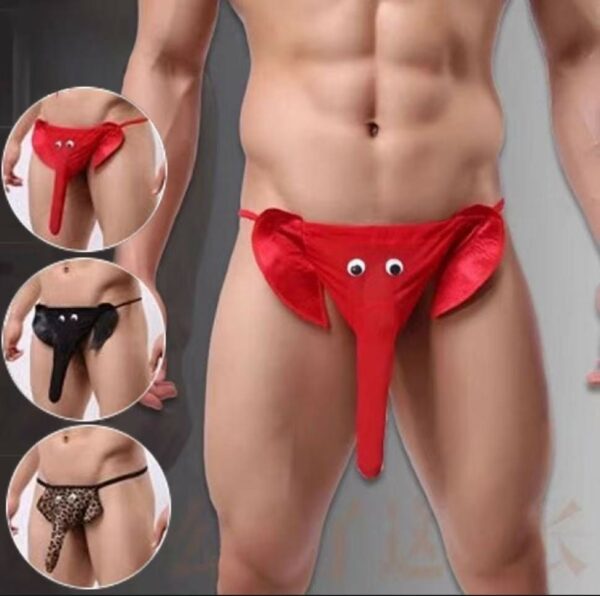 elephant underwear male