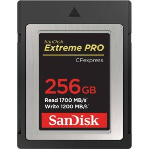 sandisk extreme pro cfexpress card type b (256gb)
