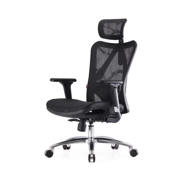 sihoo ergonomic office chair (black) m57 001 (copy)