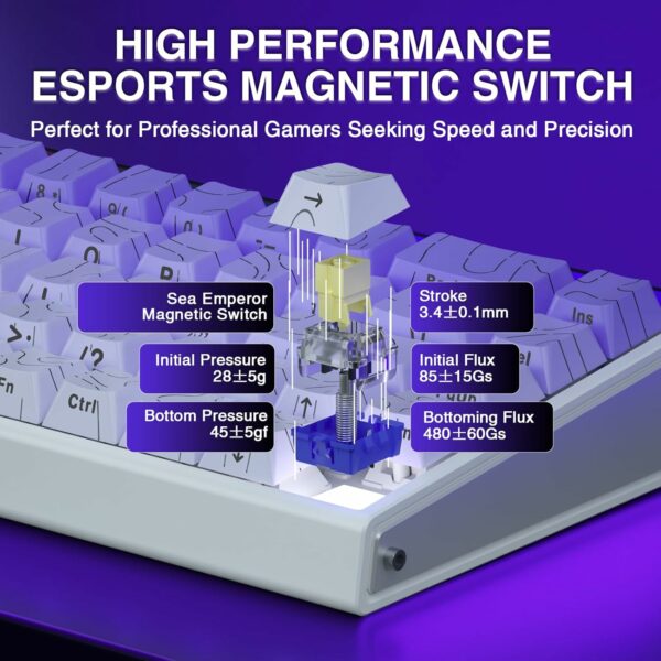 aula hero 68 he 60% wired gaming keyboard dragon king magnetic switch