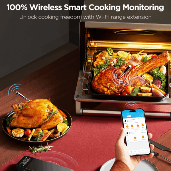 govee b5192 smart wireless meat thermometer (2 probe, model b5192011)