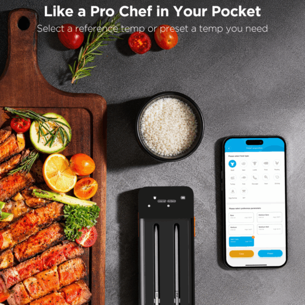 govee b5192 smart wireless meat thermometer (2 probe, model b5192011)