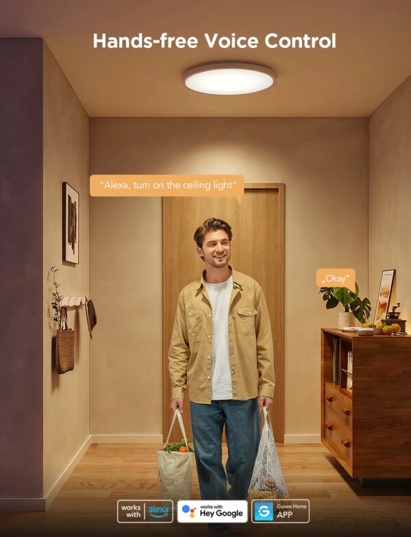 govee rgbicww floor lamp pro (h6079) (copy)