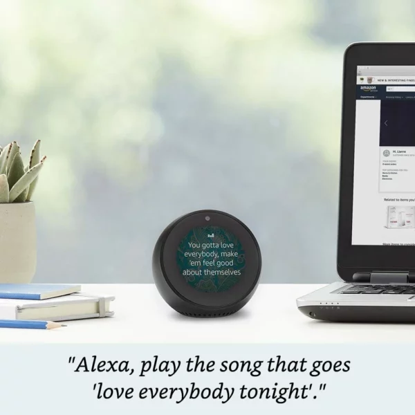 amazon echo spot (black)