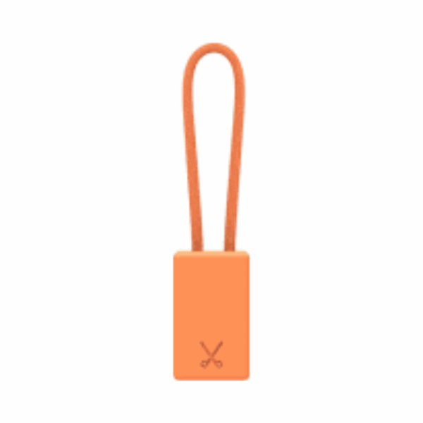 philo keychain lightning cable (mfi ios, random color)