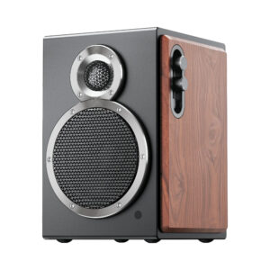 fiio sa1 high fidelity desktop speaker (black)