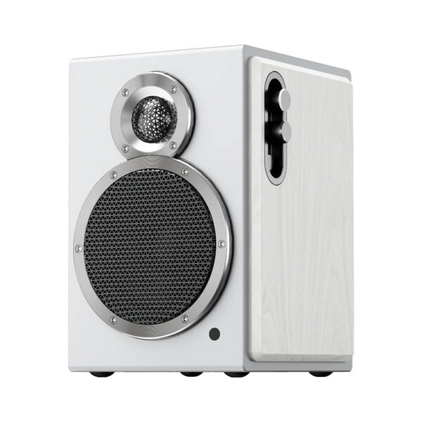 fiio sa1 high fidelity desktop speaker (white)