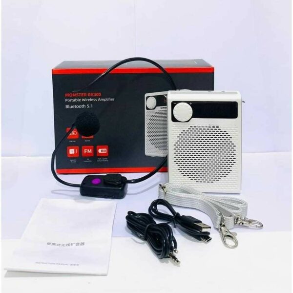 monster gk300 radio bluetooth 5.1