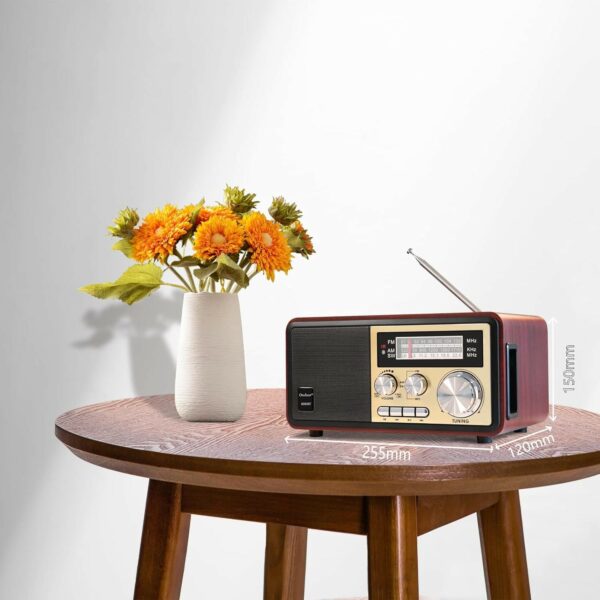 nns 3 band radio