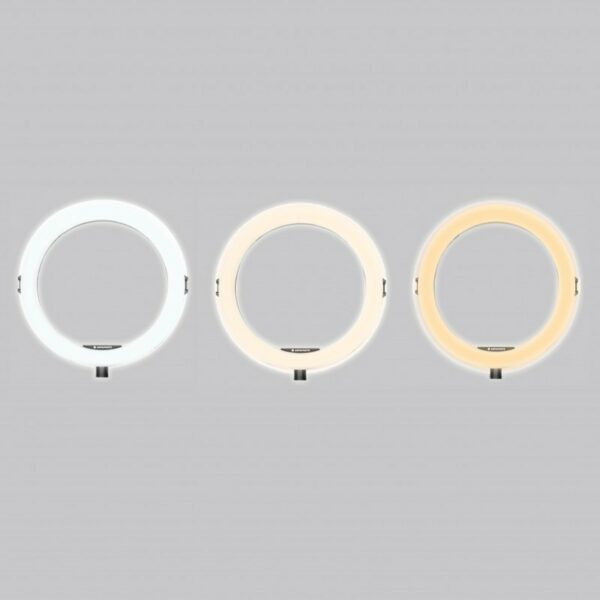 agfaphoto arl11 ring light