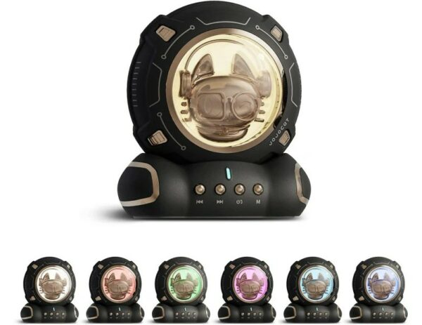 cartoon wireless speakers (ramdom colours)