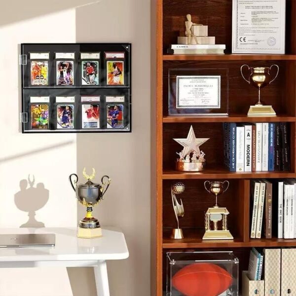 wall mounted acrylic display box