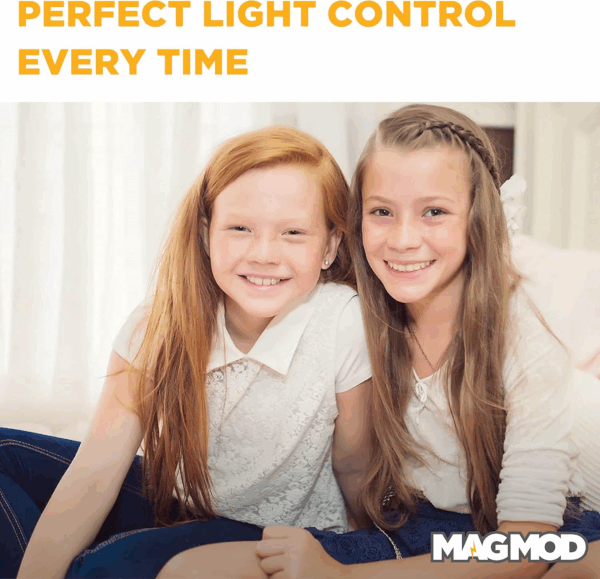magmod professional flash kit 2