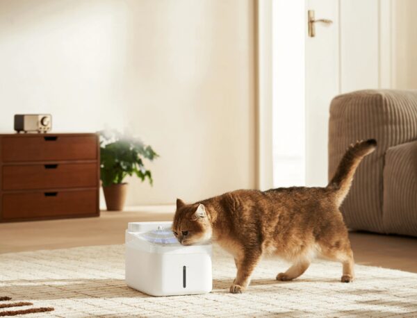 xiaomi smart pet fountain 2