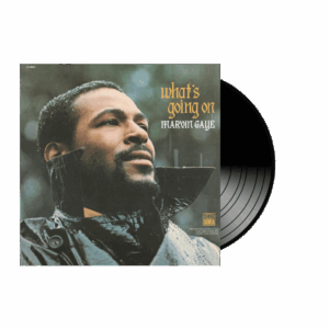 marvin gaye: what's going on (vinyl)