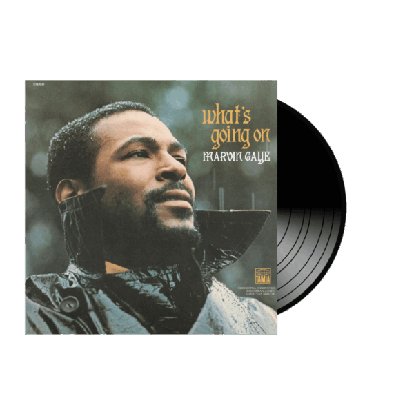 marvin gaye: what's going on (vinyl)