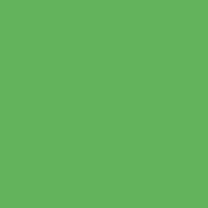 visico paper backdrop (1.38×11m) green