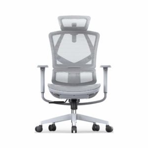 sihoo dual back ergonomic mesh chair – model m91c 501