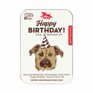 kikkerland "guitar tea infuser" (copy)