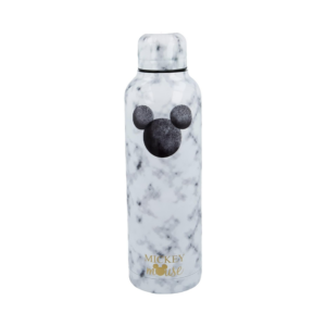 mickey mouse steel bottle