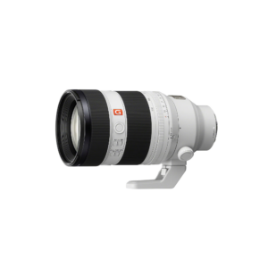 sony fe 85mm f/1.4 gm lens (copy)