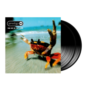 prodigy: the fat of the land (vinyl)