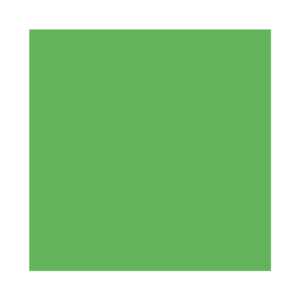 visico paper backdrop (75×10m) green