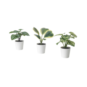 ikea artificial plant with wall holder (copy)