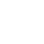 element 7 wwo icon 4